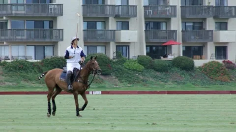 POLO PLAYER WHACKS BALL Stock Footage 7135188