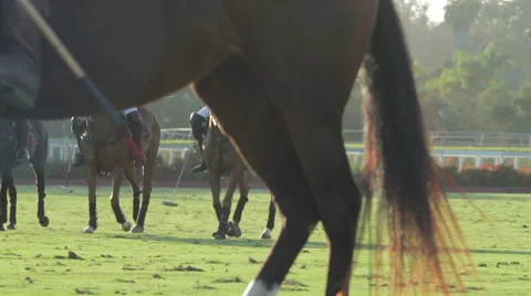 Polo players on horseback Stock Footage 44234146