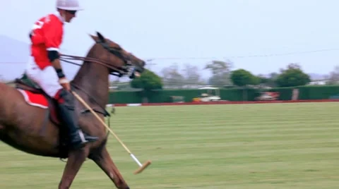 POLO PLAYERS PAST CAMERA Video stock 7134966