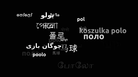 Polo Translated in 27 Worldwide Languages Endless Looping 3d Zooming Wordclou Video stock 145211061