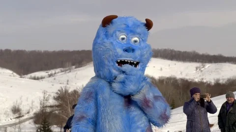 Poltava, Ukraine, Dec 2016 James P. Sullivan on winter holidays Stock Footage 72019483