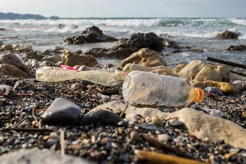 Poluted beach with plastic Photos