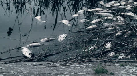 Polution 02 Stock Footage 23132747