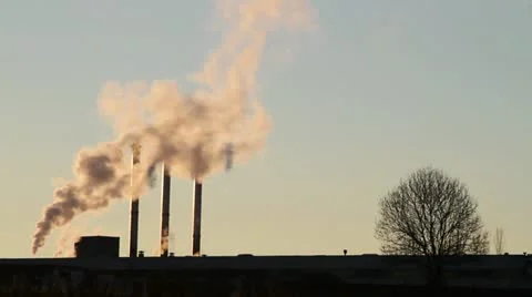 Polution and tree - HD Stock Footage 22037815