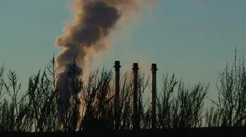 Polution died plants - HD Stock Footage 22104715