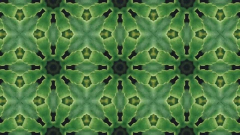 Poly Art Kaleidoscope Hypnotic Pattern Animation Footage Stock Footage 122342283