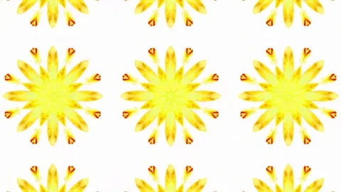 Poly Art Kaleidoscope Hypnotic Pattern Animation Footage Stock Footage 122695212