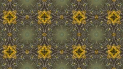 Poly Art Kaleidoscope Hypnotic Pattern Animation Footage Stock Footage 123150890