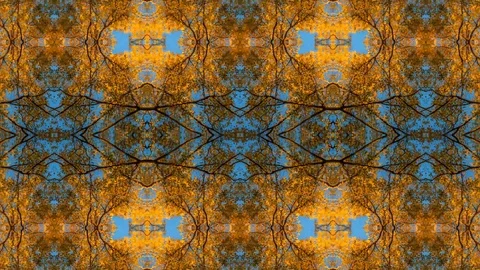 Poly Art Kaleidoscope Hypnotic Pattern Animation Footage Video stock 123152155