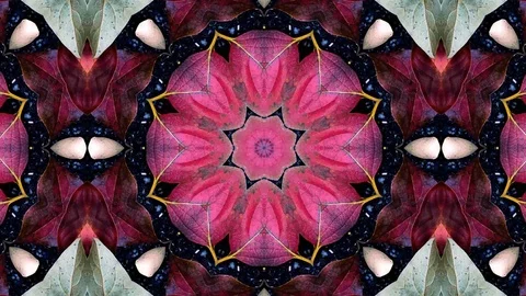 Poly Art Kaleidoscope Hypnotic Pattern Animation Footage Video stock 123153459