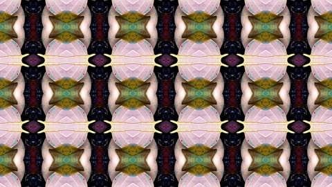 Poly Art Kaleidoscope Hypnotic Pattern Animation Footage Stock Footage 123153478