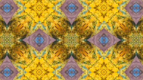 Poly Art Kaleidoscope Hypnotic Pattern Animation Footage Stock Footage 123157866