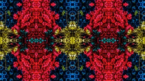 Poly Art Kaleidoscope Hypnotic Pattern Animation Footage Video stock 126688109