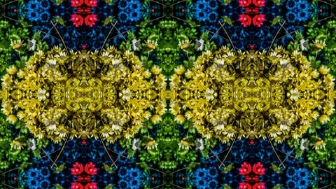 Poly Art Kaleidoscope Hypnotic Pattern Animation Footage Stock Footage 126688128