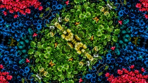 Poly Art Kaleidoscope Hypnotic Pattern Animation Footage Stock Footage 126688146