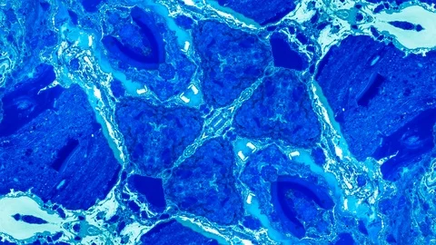 Poly Art Kaleidoscope Hypnotic Pattern Animation Footage Stock Footage 126688901