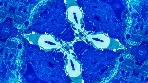 Poly Art Kaleidoscope Hypnotic Pattern Animation Footage Stock Footage 126688923