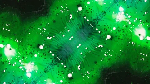 Poly Art Kaleidoscope Hypnotic Pattern Animation Footage Stock Footage 126689900