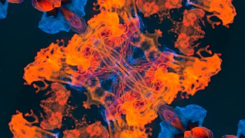 Poly Art Kaleidoscope Hypnotic Pattern Animation Footage Stock Footage 126690118