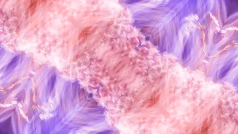 Poly Art Kaleidoscope Hypnotic Pattern Animation Footage Stock Footage 126690541