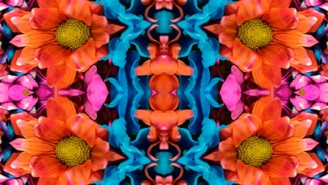 Poly Art Kaleidoscope Hypnotic Pattern Animation Footage Stock Footage 126691032