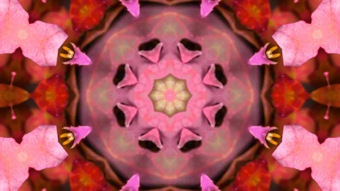 Poly Art Kaleidoscope Hypnotic Pattern Animation Footage Stock Footage 126694728