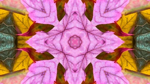 Poly Art Kaleidoscope Hypnotic Pattern Animation Footage Stock Footage 126694747
