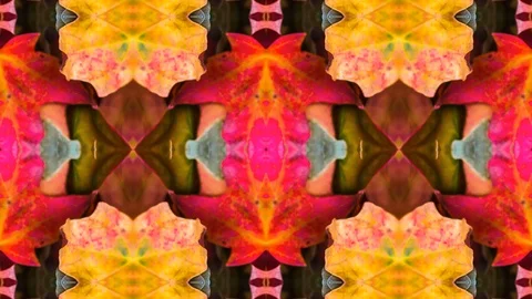 Poly Art Kaleidoscope Hypnotic Pattern Animation Footage Stock Footage 126694773