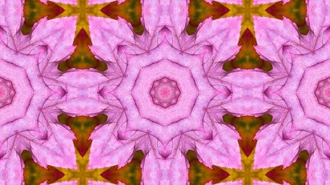 Poly Art Kaleidoscope Hypnotic Pattern Animation Footage Stock Footage 126694871
