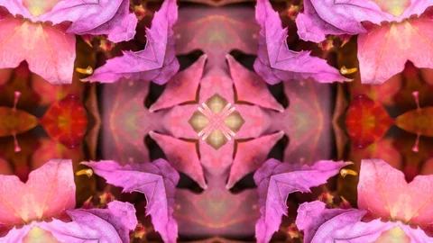 Poly Art Kaleidoscope Hypnotic Pattern Animation Footage Stock Footage 126694907