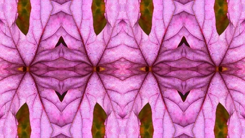 Poly Art Kaleidoscope Hypnotic Pattern Animation Footage Stock Footage 126694933