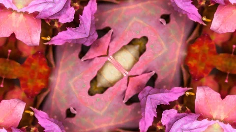 Poly Art Kaleidoscope Hypnotic Pattern Animation Footage Stock Footage 126694960