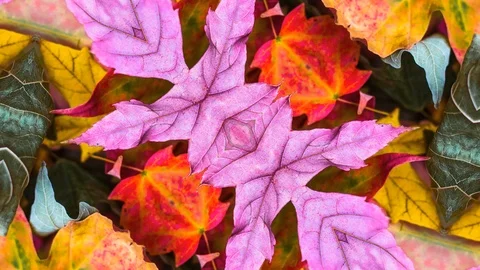Poly Art Kaleidoscope Hypnotic Pattern Animation Footage Stock Footage 126694966