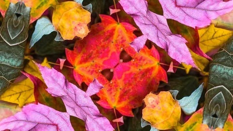 Poly Art Kaleidoscope Hypnotic Pattern Animation Footage Stock Footage 126694990