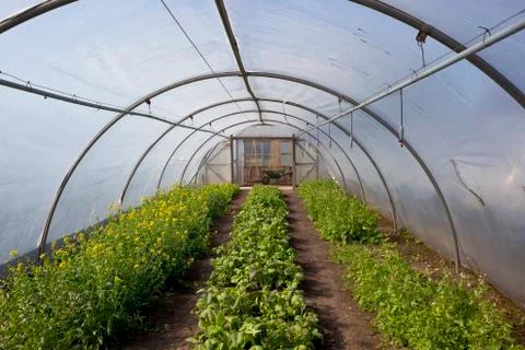 Poly tunnel in springtime Stock Photos