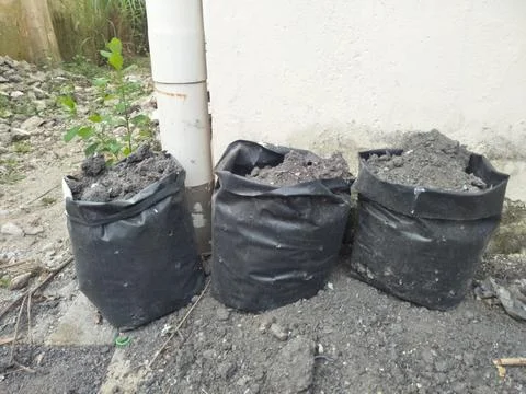 Polybags are often used as a medium for planting fruit or vegetables Stock Photos