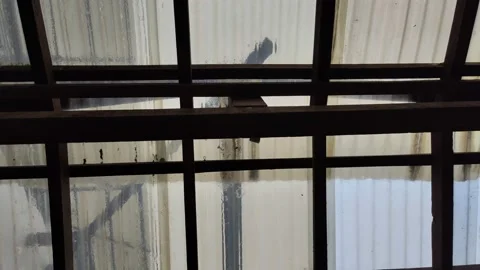 Polycarbonate roofing at a café while rainy 스톡 동영상 164821179