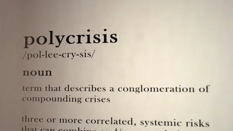 Polycrisis Definition Stock-Footage 300899985