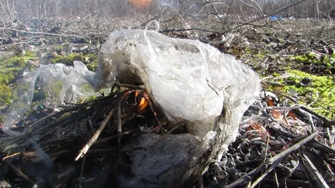 Polyethylene burns Global warming Video stock 129077006