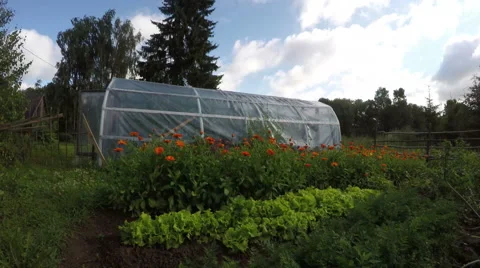 Polyethylene greenhouse in vegetable garden, time lapse 4K Stock Footage 59293962