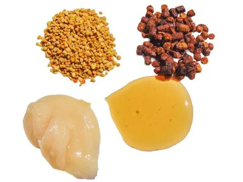 Polyflora raw bee pollen, bee bread, rapeseed honey and polyflora honey. Beek 写真素材