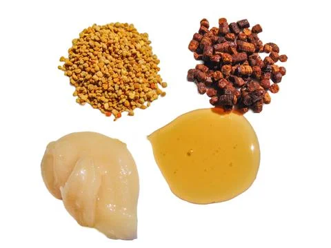 Polyflora raw bee pollen, bee bread, rapeseed honey and polyflora honey. Beek Fotos de archivo