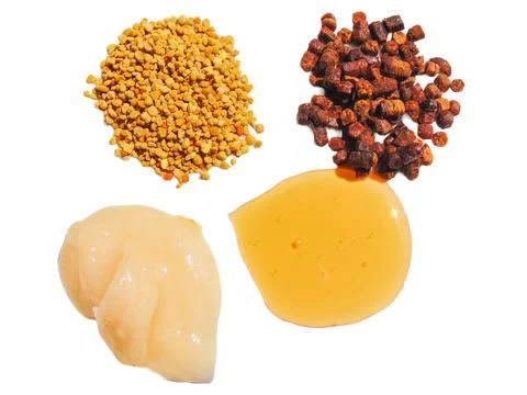 Polyflora raw bee pollen, bee bread, rapeseed honey and polyflora honey. Beek Stock Photos