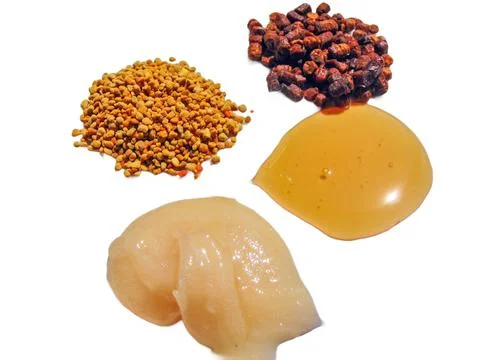 Polyflora raw bee pollen, bee bread, rapeseed honey and polyflora honey. Beek Stock-Fotos