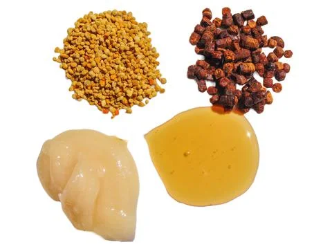 Polyflora raw bee pollen, bee bread, rapeseed honey and polyflora honey. Beek Фото