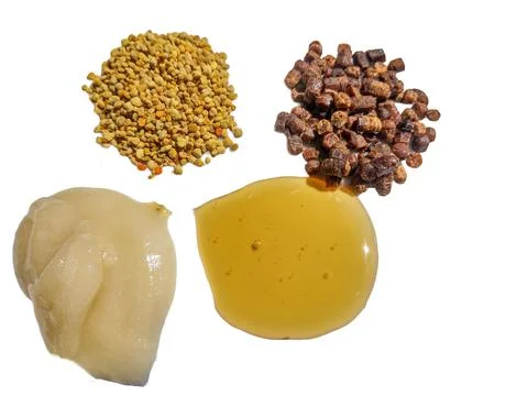 Polyflora raw bee pollen, bee bread, rapeseed honey and polyflora honey. Beek Stockfoto's