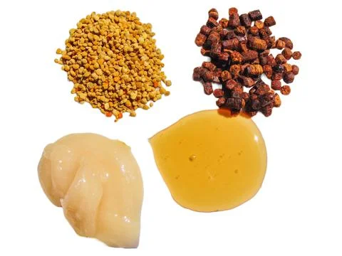 Polyflora raw bee pollen, bee bread, rapeseed honey and polyflora honey. Beek Fotos Stock