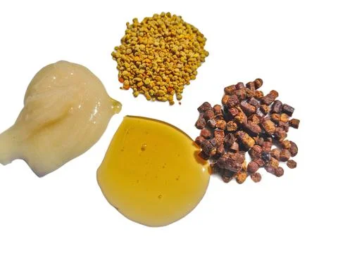 Polyflora raw bee pollen, bee bread, rapeseed honey and polyflora honey. Beek 스톡 사진