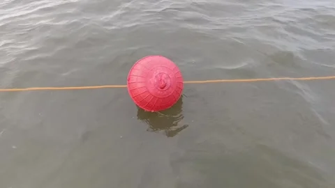 Polyform Buoy Stock Footage 270173244