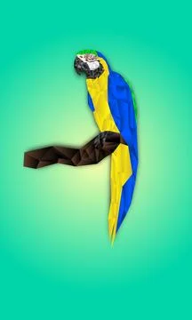 Polygon drawing macaw Parrot on a branch vector illustration 스톡 일러스트